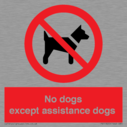 no-dogs-except-assistance-dogs~